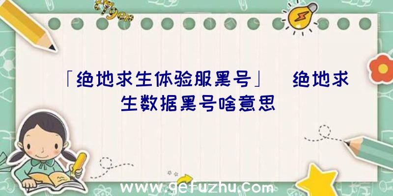 「绝地求生体验服黑号」|绝地求生数据黑号啥意思